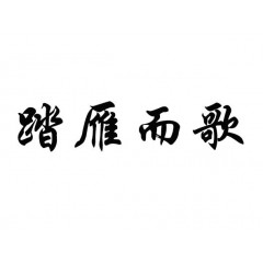 03类-踏雁而歌