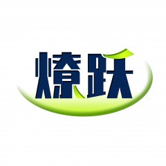 08类-燎跃   R表  欢迎议价