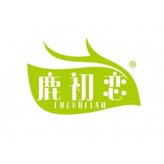 43类-鹿初恋