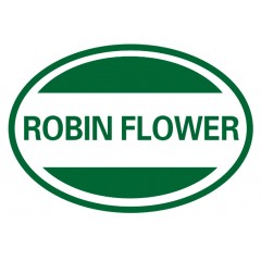 31类-ROBINFLOWER