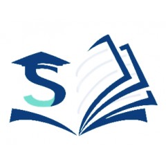 41类-S图形